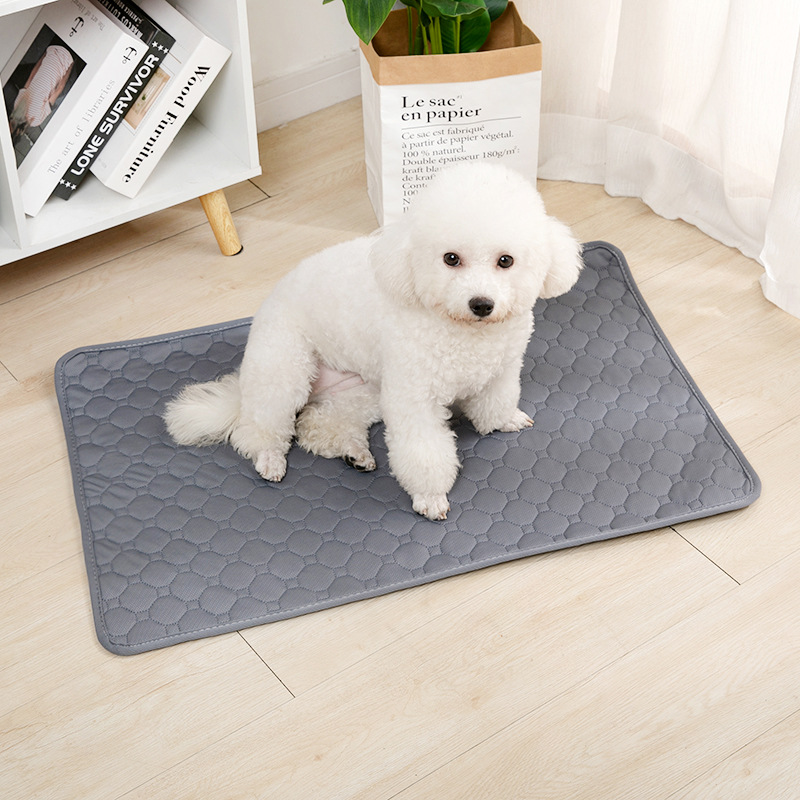 再利用可能な犬用おしっこパッドブランケット、吸水性のあるおむ - Carriage Bed のレビューと価格